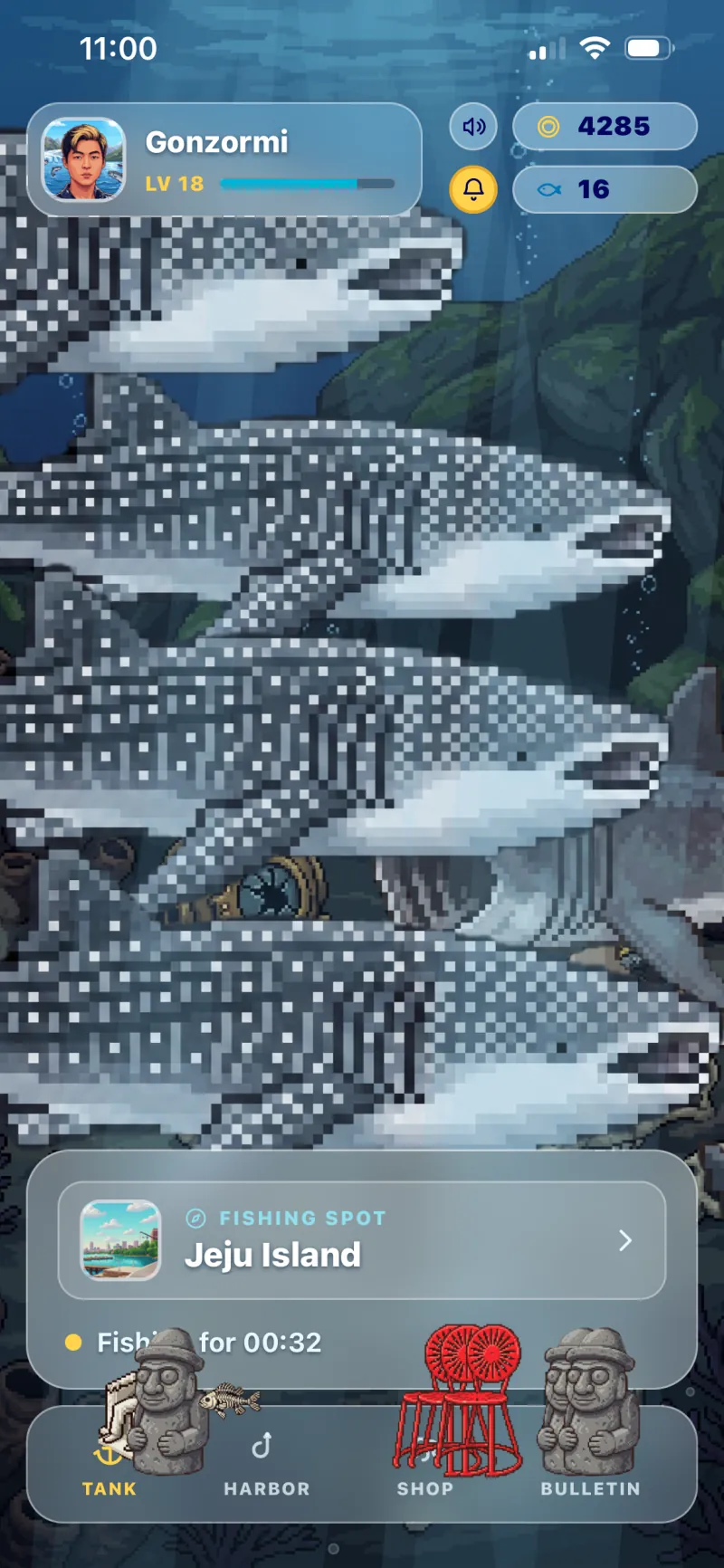 A tank full of sharks caught at the Jeju Strait