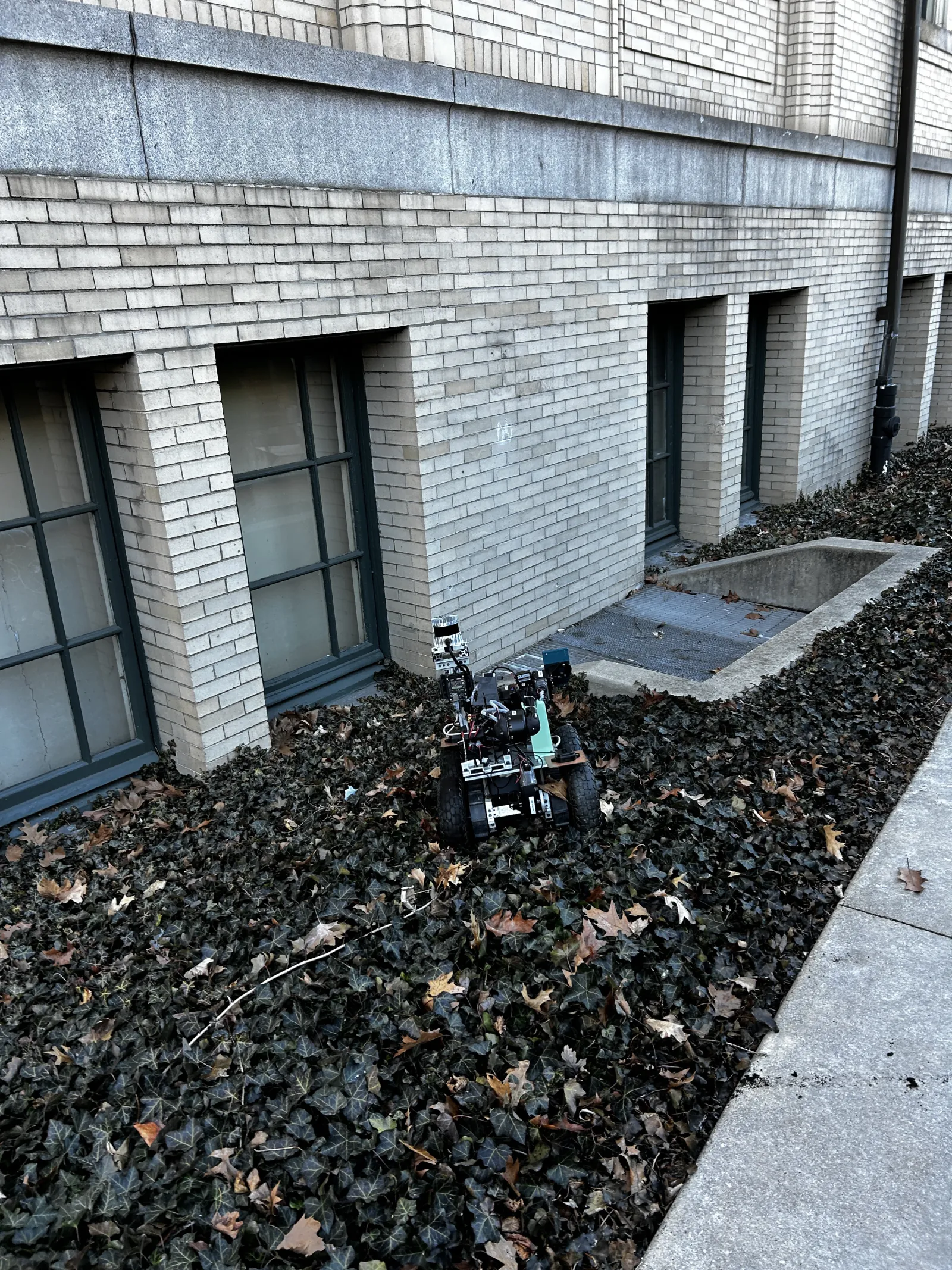 Project Image 2