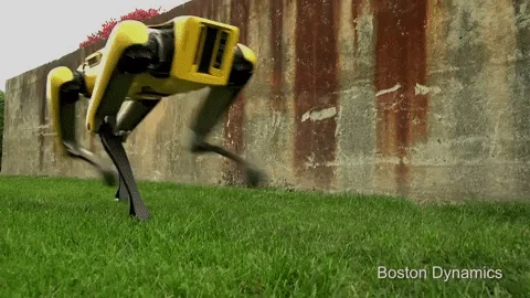 BD